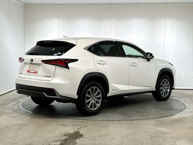 Lexus NX 6