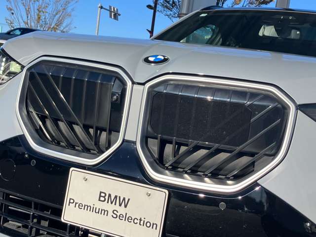 BMW X3 11