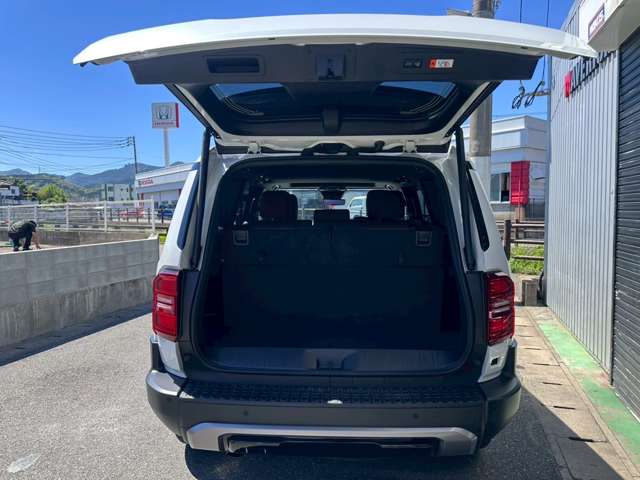 Toyota Land Cruiser 250 7