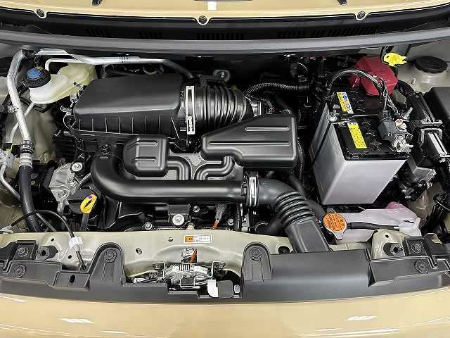 Daihatsu Taft 11