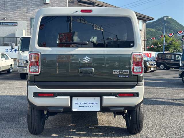 Suzuki Hustler 6