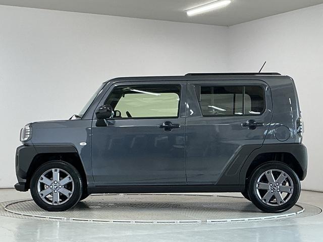 Daihatsu Taft 11