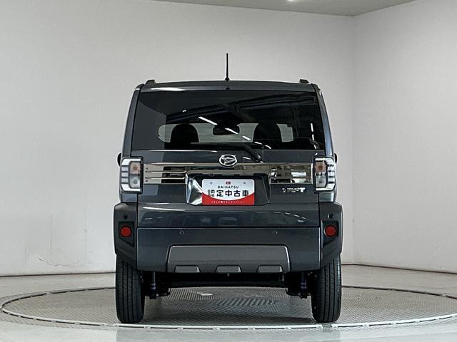 Daihatsu Taft 12