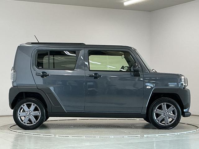 Daihatsu Taft 10