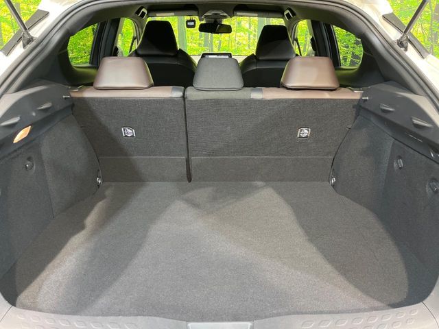 Toyota C-HR 10