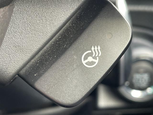 Subaru Forester 10