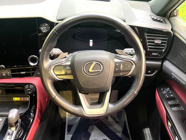 Lexus NX 11