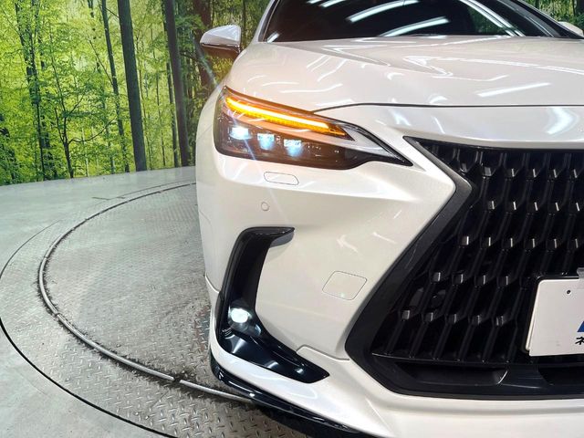 Lexus NX 12