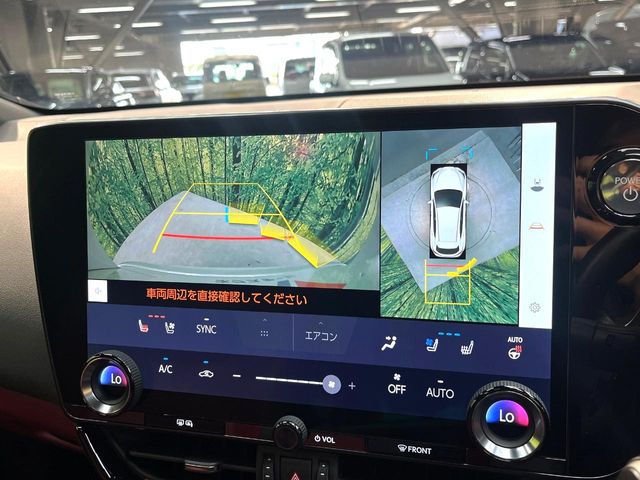 Lexus NX 6