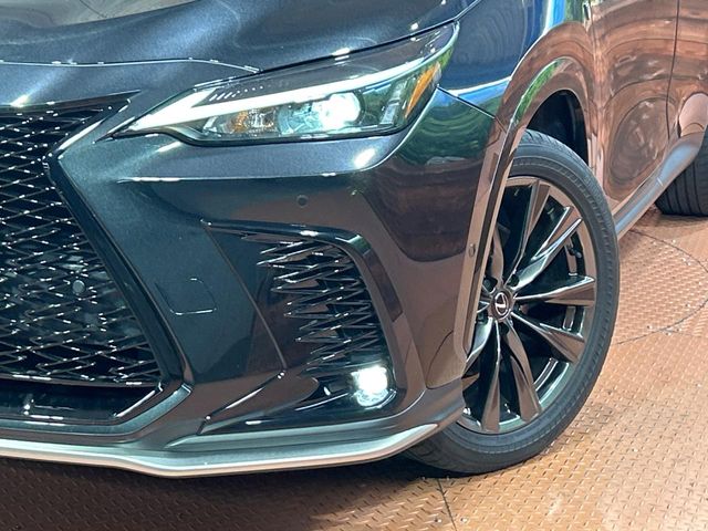 Lexus NX 12