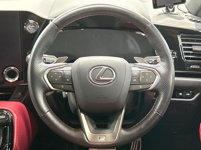 Lexus NX 11