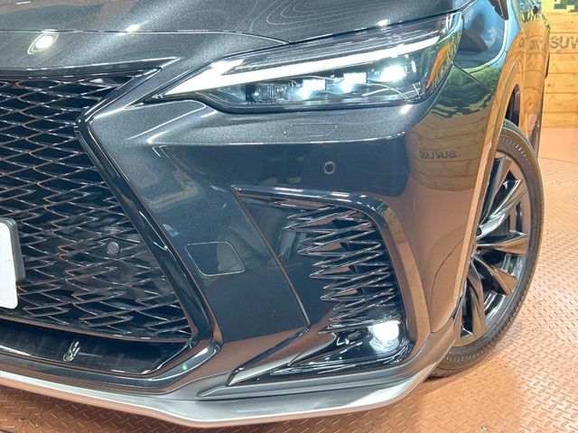 Lexus NX 12