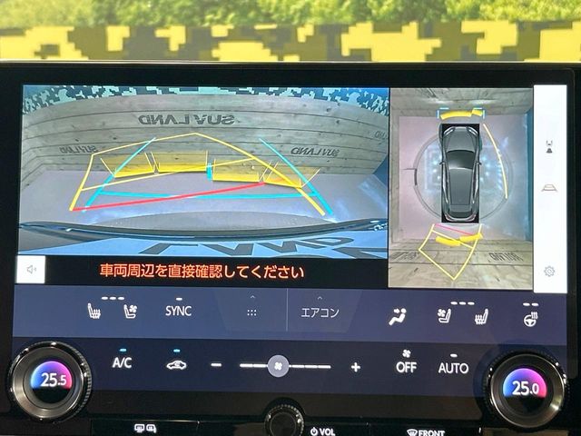 Lexus NX 4