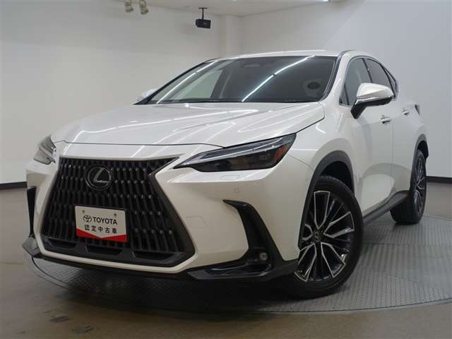 Lexus NX 6