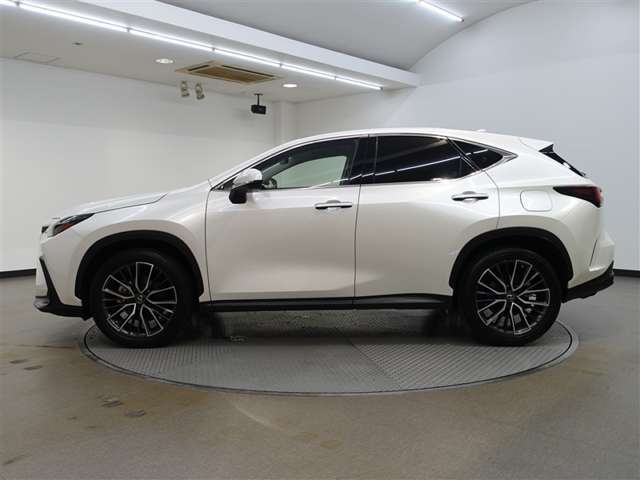 Lexus NX 7