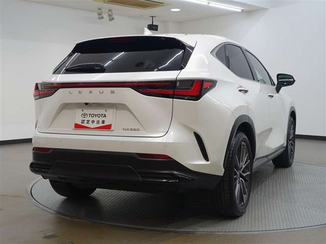 Lexus NX 8