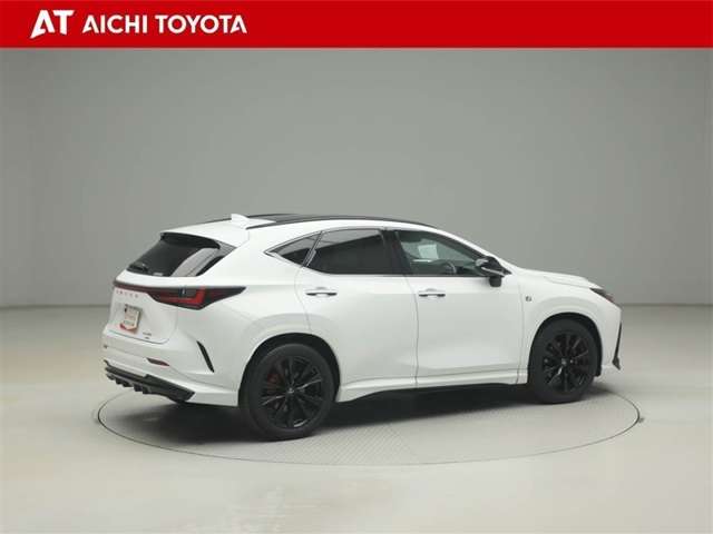 Lexus NX 6