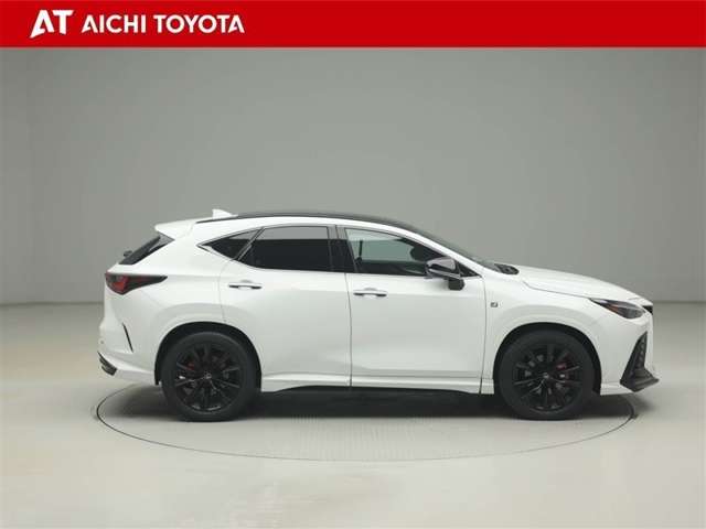 Lexus NX 7