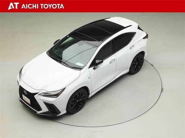 Lexus NX 10