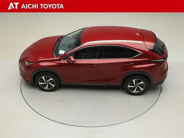 Lexus NX 11