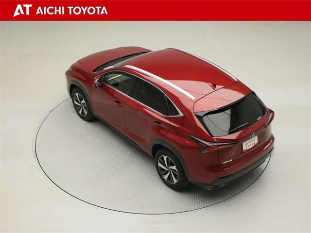 Lexus NX 12