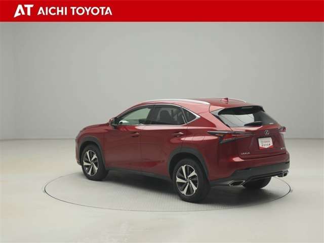 Lexus NX 4