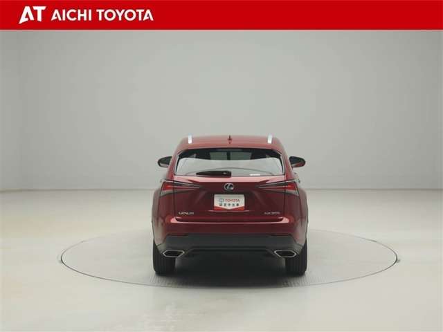 Lexus NX 5