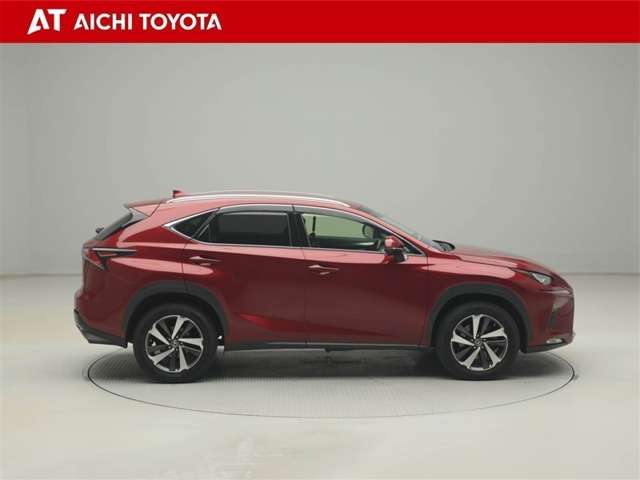 Lexus NX 7