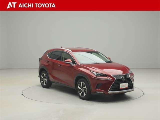 Lexus NX 8