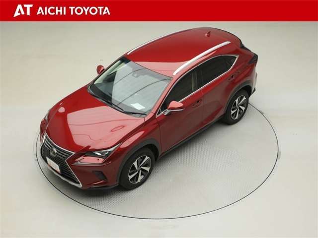 Lexus NX 10