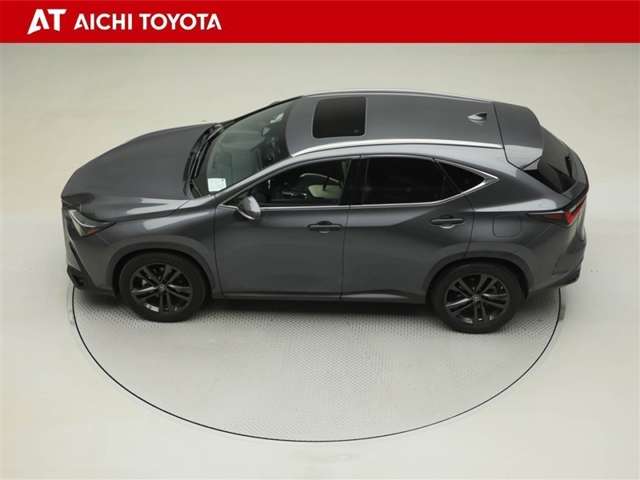 Lexus NX 11