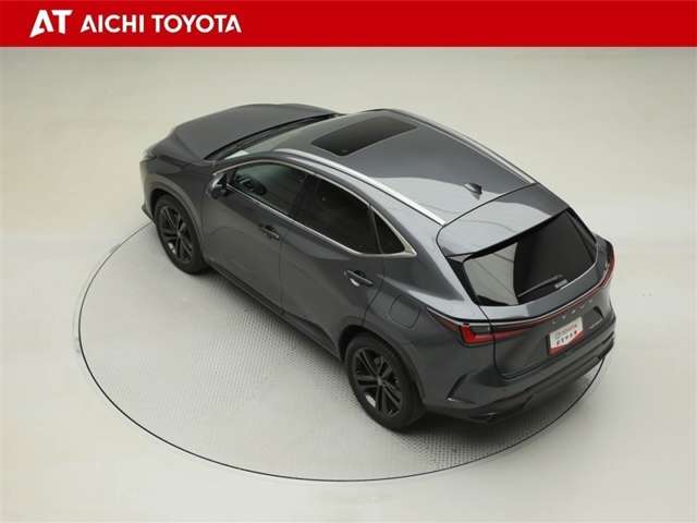Lexus NX 12