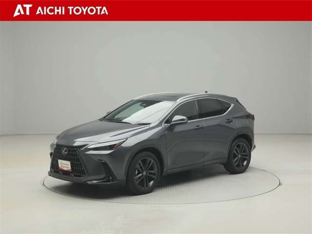 Lexus NX 2