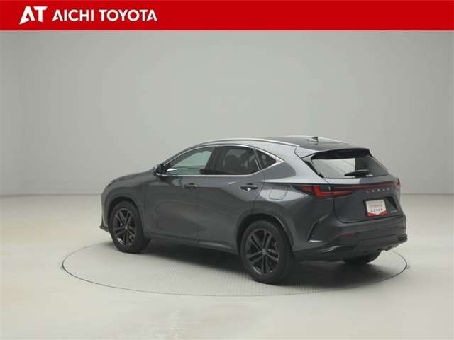 Lexus NX 4