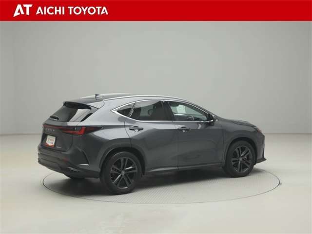 Lexus NX 6