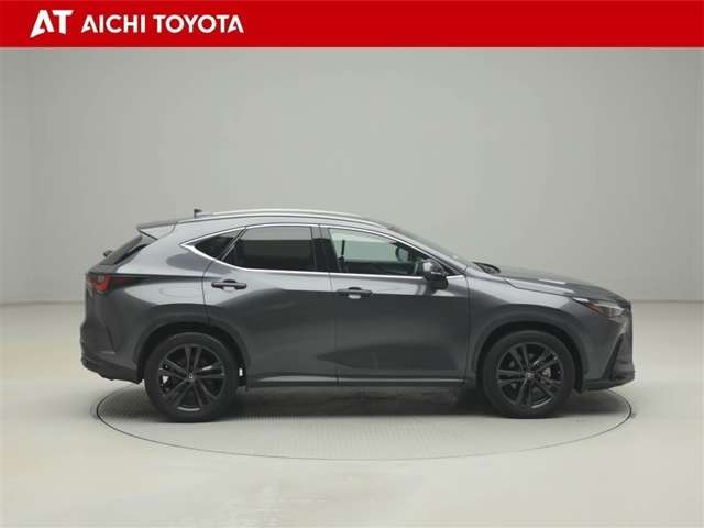 Lexus NX 7