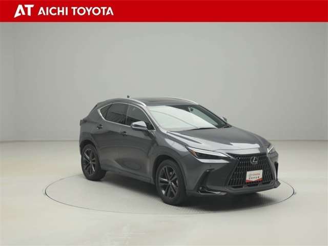 Lexus NX 8
