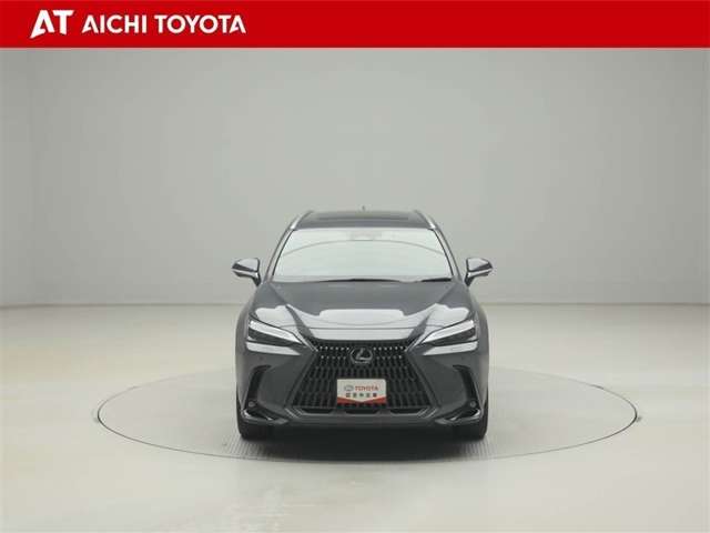 Lexus NX 9