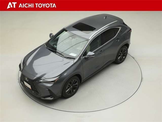 Lexus NX 10