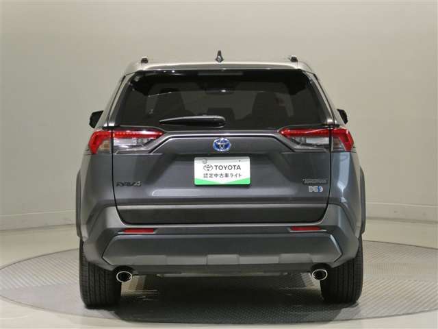 Toyota RAV4 6