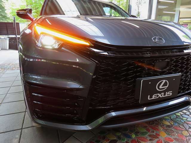Lexus LBX 11