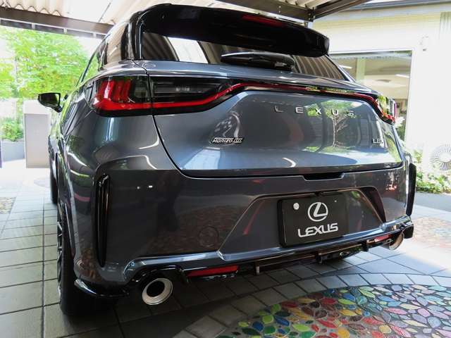 Lexus LBX 6