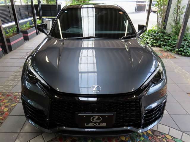 Lexus LBX 7
