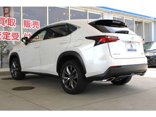 Lexus NX 11