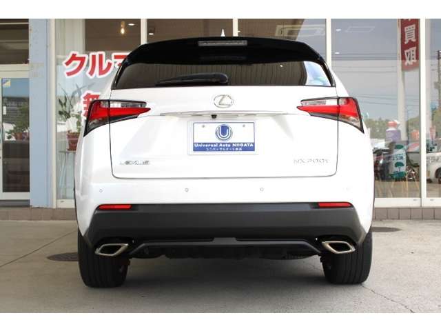 Lexus NX 12