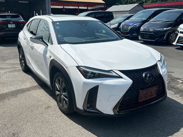 Lexus UX 10