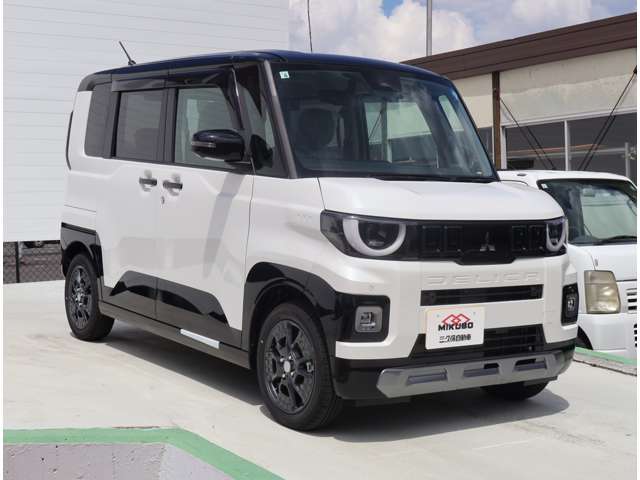 Mitsubishi Delica Mini 3