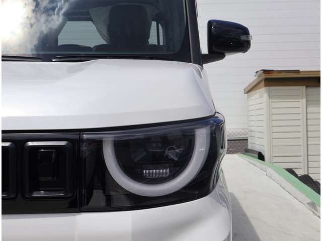Mitsubishi Delica Mini 7