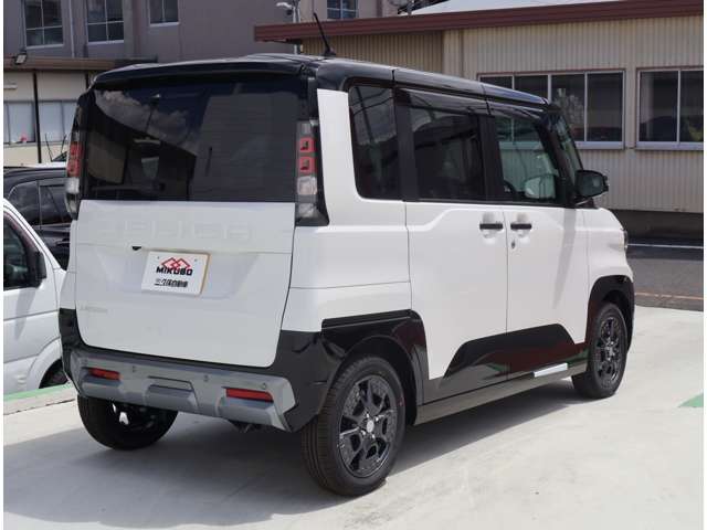 Mitsubishi Delica Mini 8