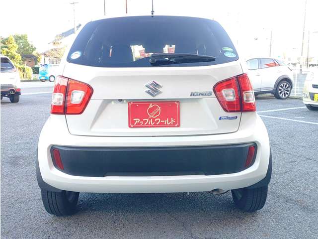 Suzuki Ignis 12